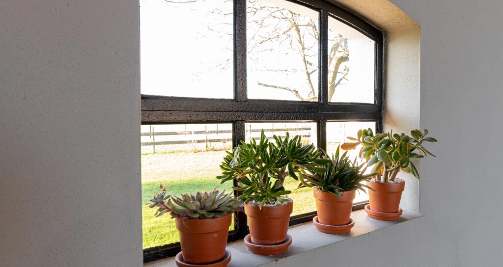 Boerderij Wadenoijen